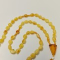 IMG_20260821_164630.jpg